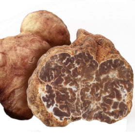 Witte Wintertruffel Tuber Borchii Vitt. Albidum Pico Delipuur Delicatessen