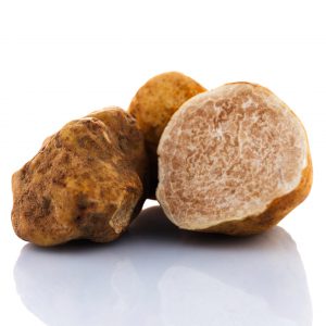 Witte wintertruffel Tuber Magnatum Pico Delipuur Delicatessen Verse truffels