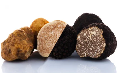 De verschillende soorten truffels
