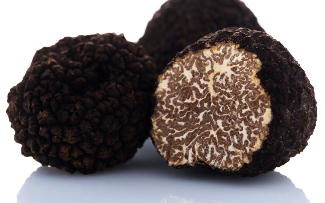 Truffel kopen waar kan je het beste verse italiaanse truffel kopen